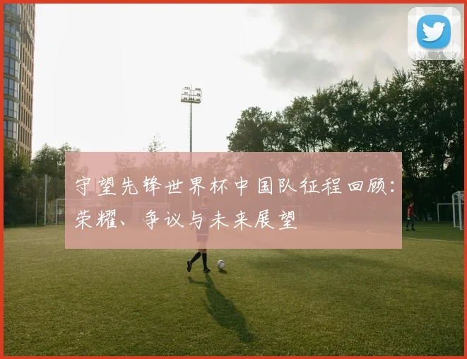 守望先锋世界杯中国队征程回顾：荣耀、争议与未来展望