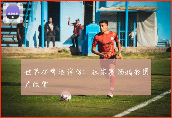 世界杯啤酒伴侣:独家赛场精彩图片欣赏