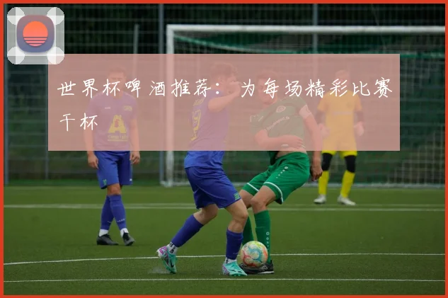 世界杯啤酒推荐：为每场精彩比赛干杯
