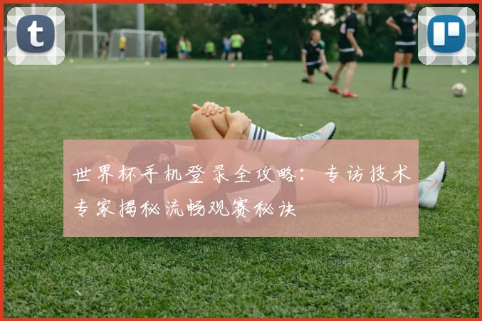 世界杯手机登录全攻略:专访技术专家揭秘流畅观赛秘诀