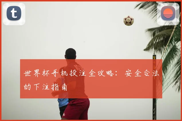 世界杯手机投注全攻略:安全合法的下注指南