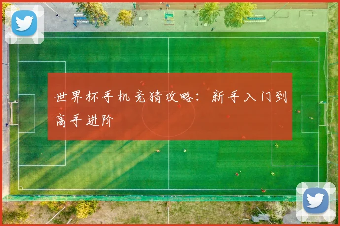 世界杯手机竞猜攻略:新手入门到高手进阶
