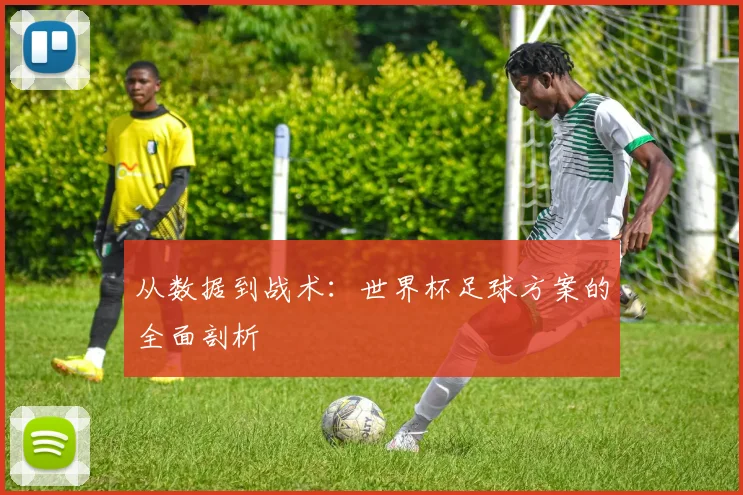 从数据到战术：世界杯足球方案的全面剖析