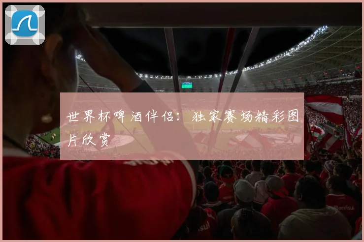 世界杯啤酒伴侣:独家赛场精彩图片欣赏