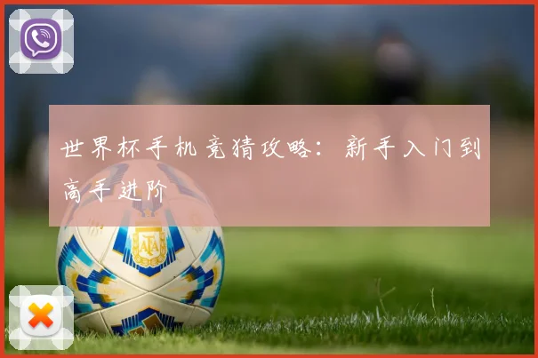 世界杯手机竞猜攻略:新手入门到高手进阶