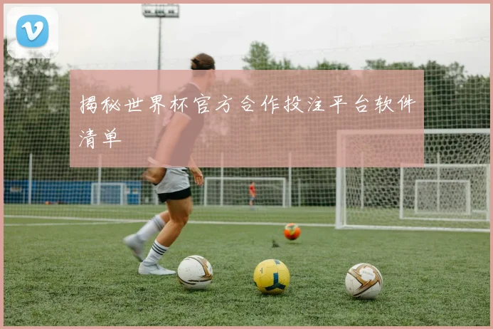 揭秘世界杯官方合作投注平台软件清单